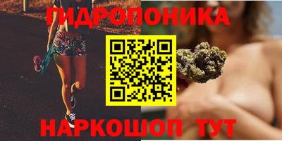 mdpv Рыбинск