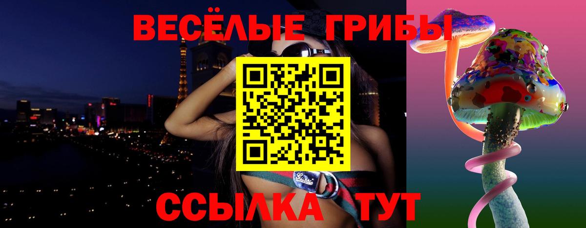 Саранск  Галлюциногенные грибы Psilocybine cubensis  Псилоцибиновые грибы MAGIC MUSHROOMS  Вход с VPN 